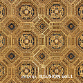 Illusion vol.1