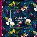 Tropics 