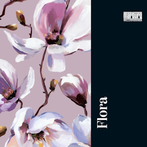 Marburg Коллекции