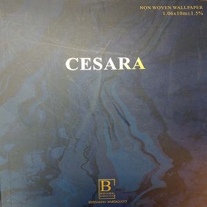 Bernardo Bartalucci Коллекции