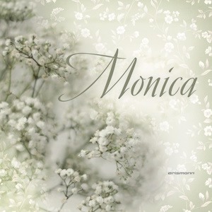 Erismann Коллекции