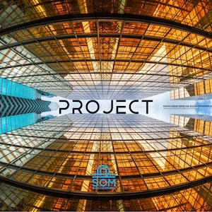 Som Коллекции