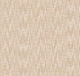 RBN1002-9 Alessandro Allori Bruni RBN1002-9 для кухни для спальни для гостиной для коридора для кабинета для загородного дома для комнаты для прихожей бежевый