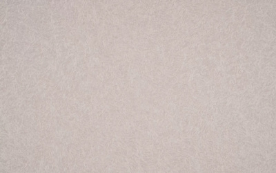 Обои виниловые на флизелиновой основе