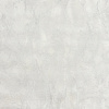 MS11509