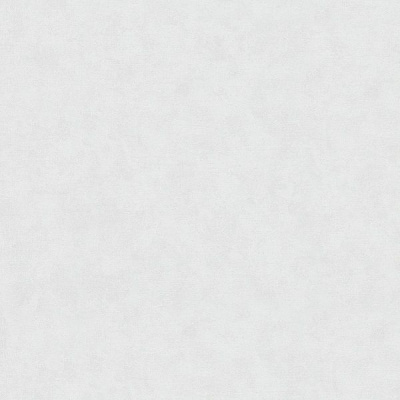 обои виниловые на флизелиновой основе