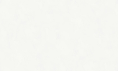 Обои виниловые на флизелиновой основе