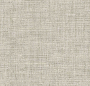 Alessandro Allori Giorgio RGI1010-3 для кухни для спальни для гостиной для коридора для кабинета для загородного дома для комнаты для прихожей серый темно-серый серо-бежевый