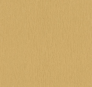 Rasch Etro 517545 для кухни для спальни для гостиной для коридора для кабинета для загородного дома для комнаты для прихожей золотой