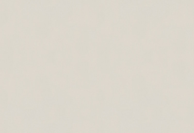 Обои виниловые на флизелиновой основе