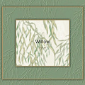 Willow