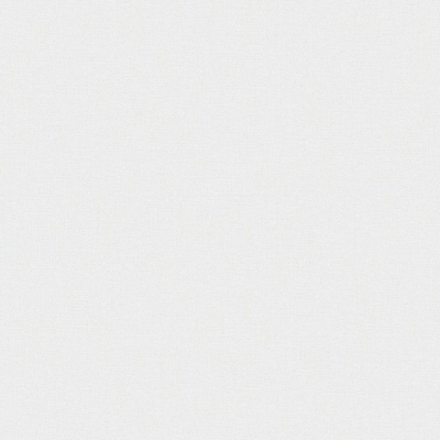 Обои виниловые на флизелиновой основе