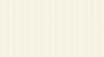 Обои виниловые на флизелиновой основе