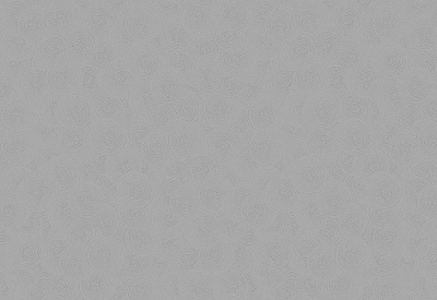 Обои виниловые на флизелиновой основе