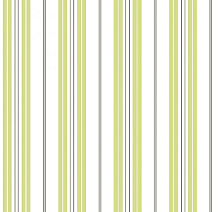 Aura Smart Stripes G23193 для кабинета для загородного дома для комнаты для прихожей зеленый