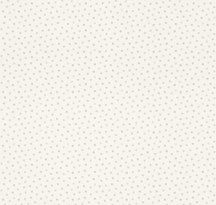 Rasch Bambino XIX 253030 для детской белый светло-серый