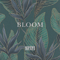 Bloom Bloom