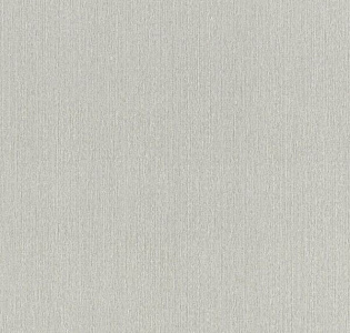 Rasch Barbara XL 800548 для кухни для спальни для гостиной для коридора для кабинета для загородного дома для комнаты для прихожей серый