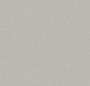 Cassanie Simply SP009 для кухни для спальни для гостиной для коридора для кабинета для загородного дома для комнаты для прихожей серый светло-серый мятный