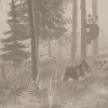AB324-COL3
