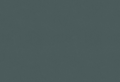 Обои виниловые на флизелиновой основе