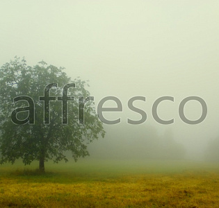 Affresco Фрески и фотообои ID12142