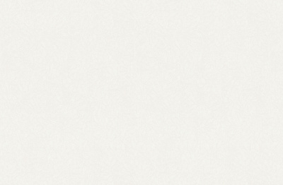 Обои виниловые на флизелиновой основе