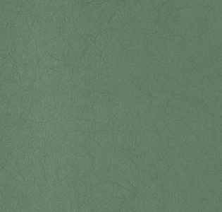 Bernardo Bartalucci Legend 5068-13 для спальни для гостиной для кабинета для загородного дома для комнаты для прихожей мятный