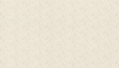 Обои виниловые на флизелиновой основе