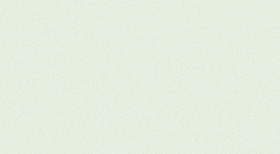 Обои виниловые на флизелиновой основе