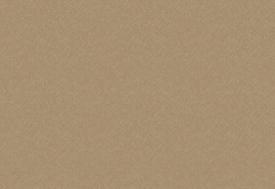 Обои виниловые на флизелиновой основе