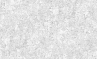 Обои виниловые на флизелиновой основе