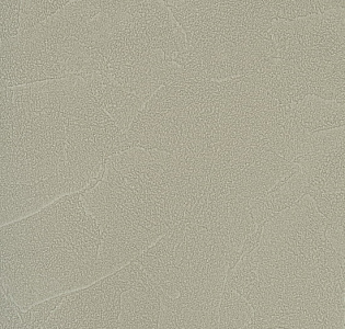 Andrea Rossi Spectrum Plus 54351-13 для кухни для коридора для кабинета для загородного дома для комнаты для прихожей зеленый