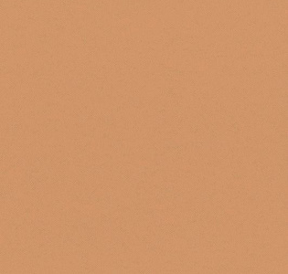 Aura Plain Resource II B1180303 для спальни для гостиной для кабинета для загородного дома для комнаты для прихожей терракотовый