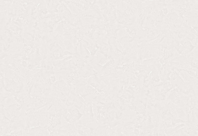 Обои виниловые на флизелиновой основе