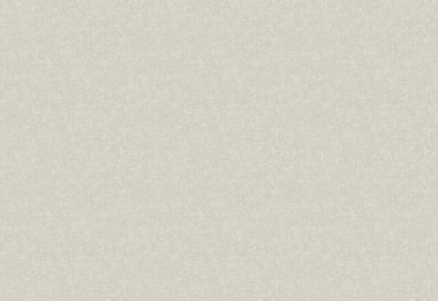 Обои виниловые на флизелиновой основе