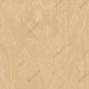 AF2154-COL2