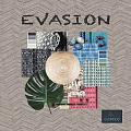 Evasion