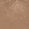 AF2157-COL2