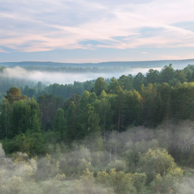 Фреска на штукатурке ECO