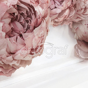 Ortograf Flowers 34147 для спальни для гостиной для загородного дома для комнаты белый розовый