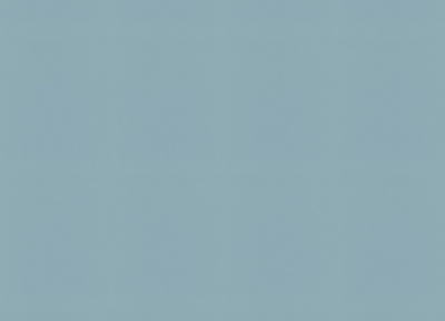 Обои виниловые на флизелиновой основе