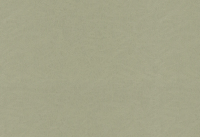 Обои флизелиновые