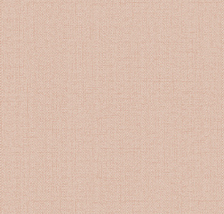 RBN1002-14 Alessandro Allori Bruni RBN1002-14 для кухни для спальни для гостиной для коридора для кабинета для загородного дома для комнаты для прихожей персиковый