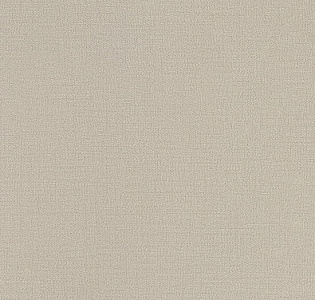 Andrea Rossi Spectrum Plus 54353-24 для кухни для спальни для гостиной для коридора для кабинета для загородного дома для комнаты для прихожей светло-серый