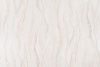 AR10838-08