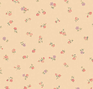 Aura Abby Rose AB27650 для кухни для спальни для гостиной для загородного дома для комнаты персиковый
