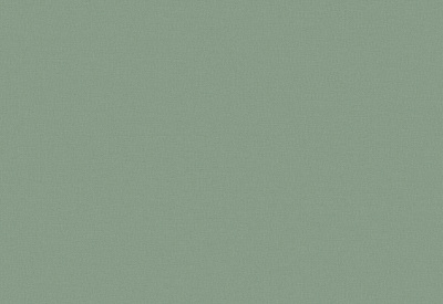 Обои виниловые на флизелиновой основе