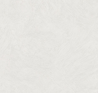 A.S. Creation Sylvana 8921-26 для кухни для спальни для гостиной для коридора для кабинета для загородного дома для комнаты для прихожей белый светло-серый