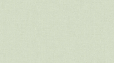 Обои виниловые на флизелиновой основе